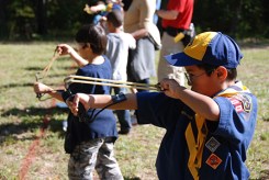 bsa-aac - bert adams - cub world (oct_ 2011) #299